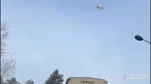 Ярмарка голубей в Казахстане