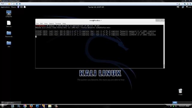 How To Bruteforce SSH On A Single IP With Medusa смотреть онлайн