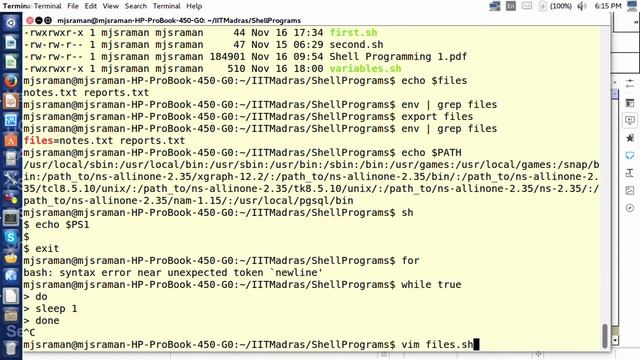 Module 29 - Shell Variables смотреть онлайн