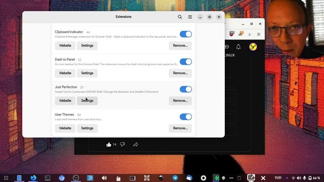 🐧 IL MIGLIOR SISTEMA OPERATIVO ? GNOME WAYLAND, GESTURE E ESTENSIONI смотреть онлайн
