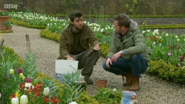 Gardeners' World 2019 E32