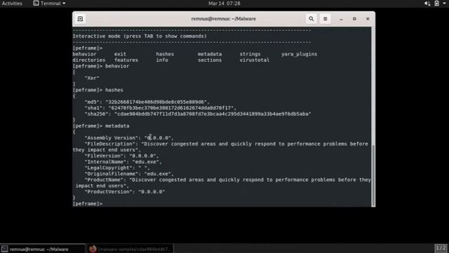 Install Renmux & Malware Analysis смотреть онлайн
