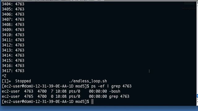Linux: Understanding processes смотреть онлайн