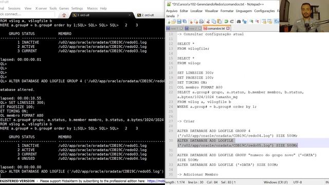 Oracle Database: Gerenciando os Redos смотреть онлайн