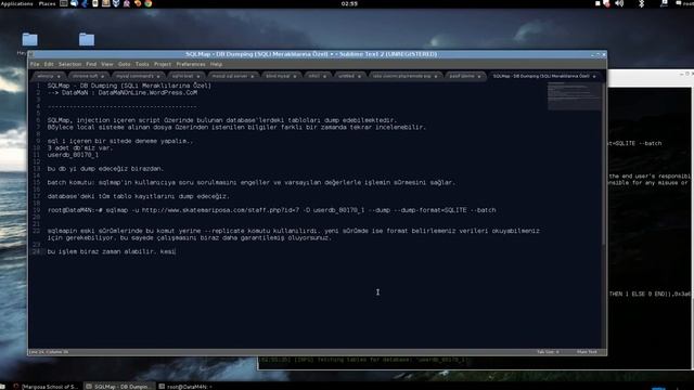 Kali Linux SQLMap ile Database Dumping смотреть онлайн