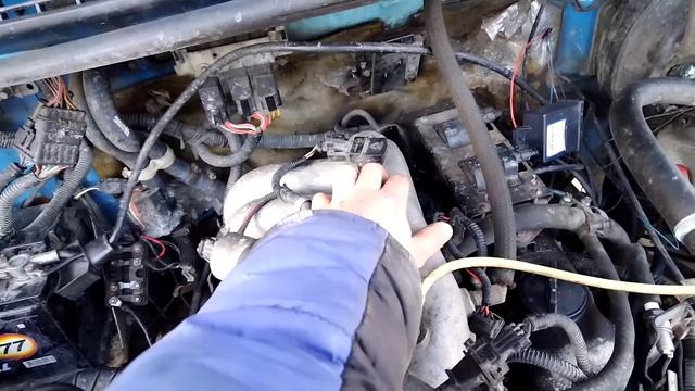 Не заводится Газель Бизнес Умз 4216. Причина найдена