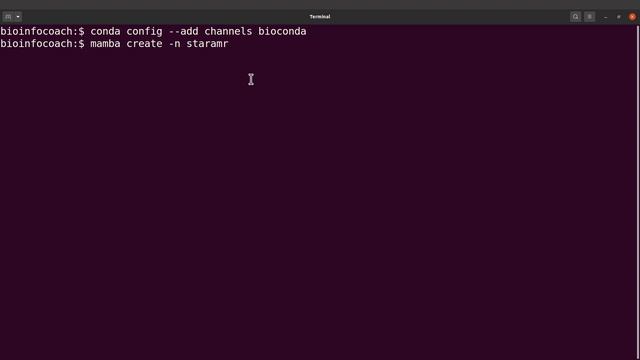 STARAMR Linux Install and Usage смотреть онлайн