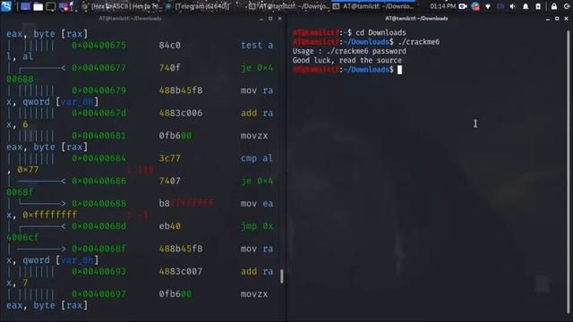 Reversing ELF | Tryhackme смотреть онлайн