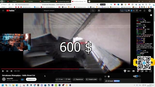 СТИНТ СМОТРИТ:Китайские Живодёры - Hello Street Cat смотреть онлайн