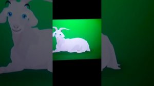 PULCINO PIO - цыпленок пио (Official Video)