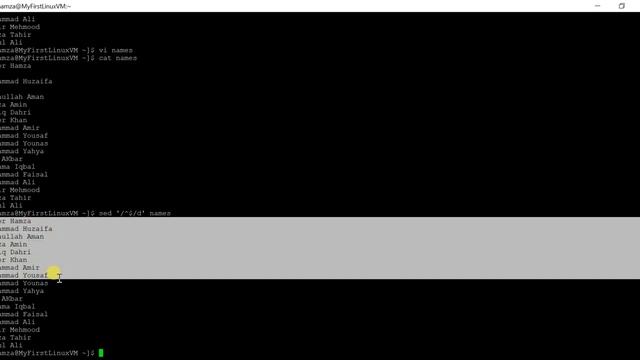 sed command in linux |Urdu/Hindi| use of sed account смотреть онлайн
