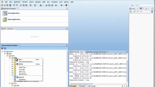 052b Subversion Branching Working with Remote directories смотреть онлайн