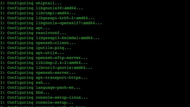 Screencast LXC en Ubuntu16.04 смотреть онлайн