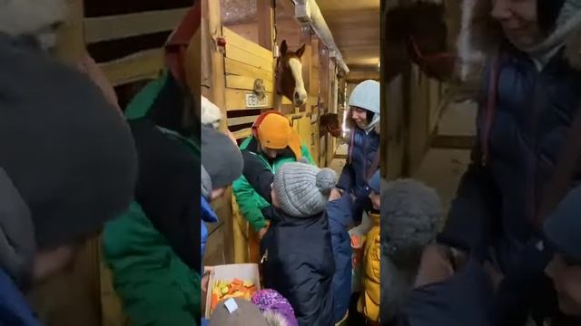 Благотворительный четверг 13 января 2022 г смотреть онлайн