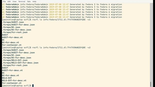 Fedora 6.0 - rocfl Demo смотреть онлайн