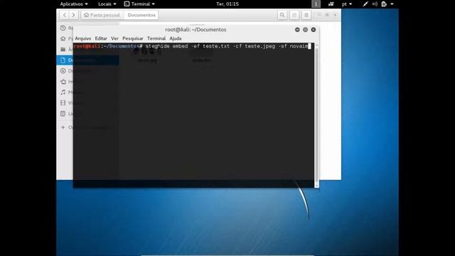 3 - Esteganografia com a ferramenta Steghide no Kali linux смотреть онлайн