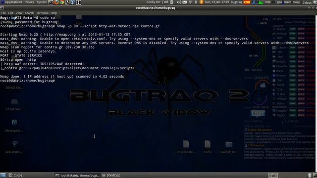 Bugtraq-2 Blackwidow: IDS, IPS and WAF part1 смотреть онлайн