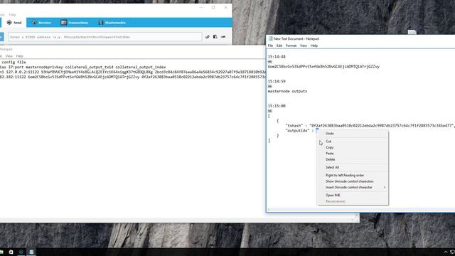 Nibex - MN linux script setup смотреть онлайн