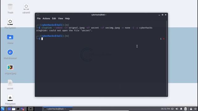 Steghide | Hide Secret data inside Image or Audio | Steganography | Urdu/Hindi | Linux/Windows смотреть онлайн