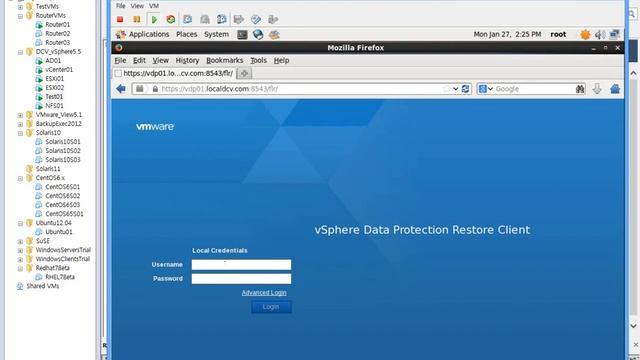 How to run file level restore in a Linux VM смотреть онлайн