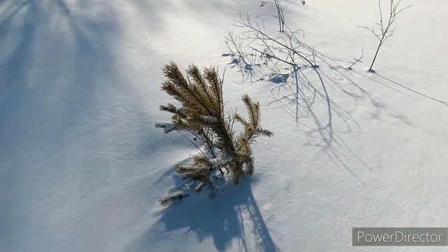 21 января 2024 г. смотреть онлайн