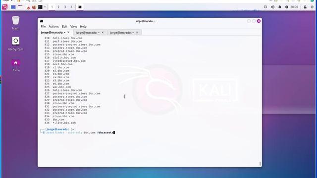 Subdomain Reconnaissance with assetfinder смотреть онлайн