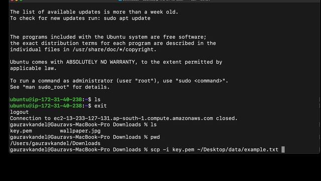 Mastering File Transfers: The Ultimate Guide to SCP from Local to EC2 🚀 смотреть онлайн