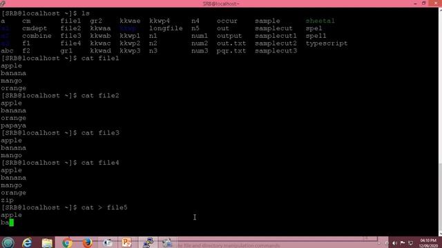 Execute File and Directory manipulation commands (Practical - 7) смотреть онлайн