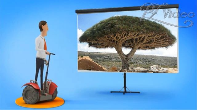 НОВИНКИ в Слайд ШОУ смотреть онлайн