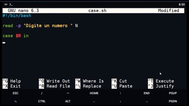 . 16_curso bash ciclo case смотреть онлайн