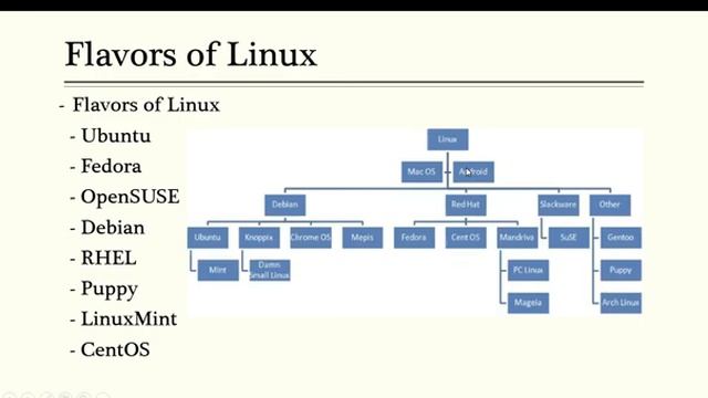 Flavors of Linux in Hindi | Linux Distributions | Linux tutorial for beginners to advance in Hindi смотреть онлайн