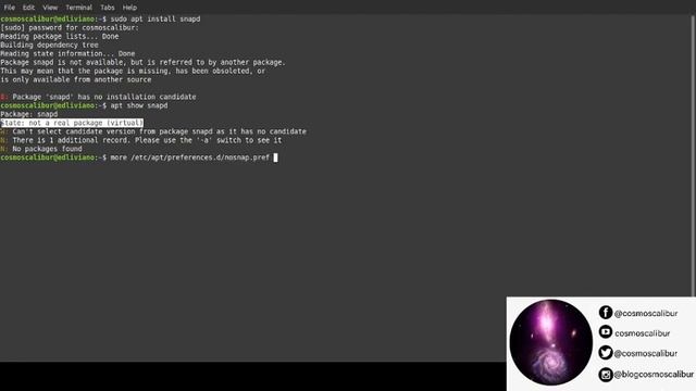 Instalar paquetes snap en Linux Mint 20 смотреть онлайн