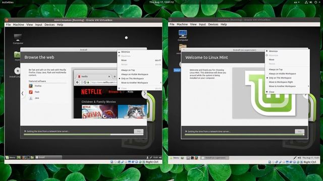 [Comparison] LinuxMint OS: Cinnamon vs MATE | MY GNOME3 смотреть онлайн