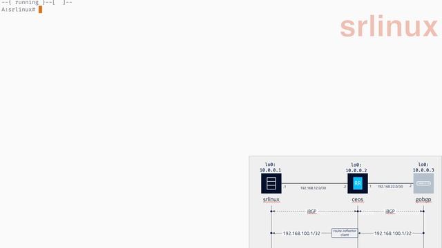 containerlab demo. SR Linux + cEOS + goBGP смотреть онлайн
