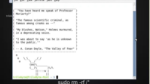 Linux Chaos- Mint смотреть онлайн