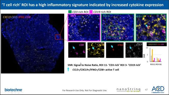Spatial Genomics Webinar by Advanced Cell Diagnostics & NanoString Technologies_Mar2020 смотреть онлайн