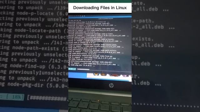 Downloading Files : Windows vs Linux смотреть онлайн