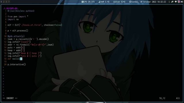 House of Force - In GLIBC versions less than 2.29 { Heap } Debugger - GDB смотреть онлайн
