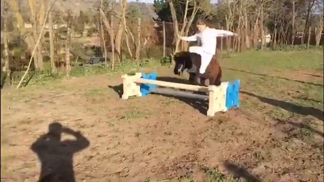 Agility pony al Centro Ippico La Vega смотреть онлайн