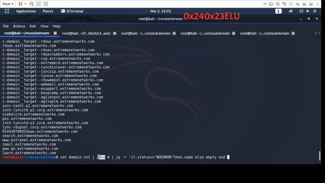 Live Domain scan смотреть онлайн