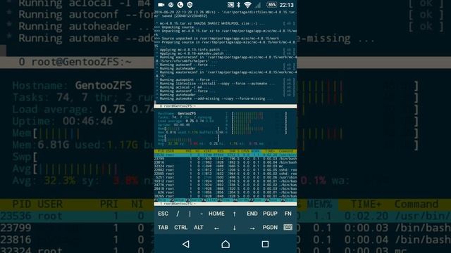 Gentoo is always with you!!! смотреть онлайн