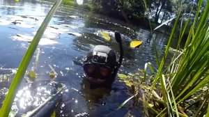 Подводная охота  Хороший выстрел и Отличный прозрак