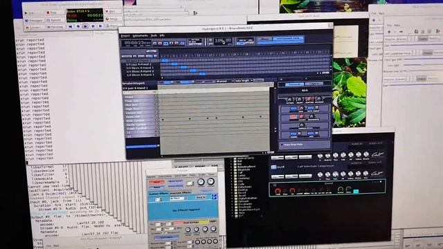 Linux Software instruments with Lexicon effect+signal preparation смотреть онлайн