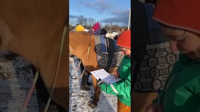 Мотивация «Оценки в дневник» смотреть онлайн