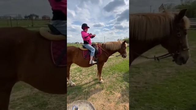 Поздравляем всех с Праздником 9 мая! смотреть онлайн