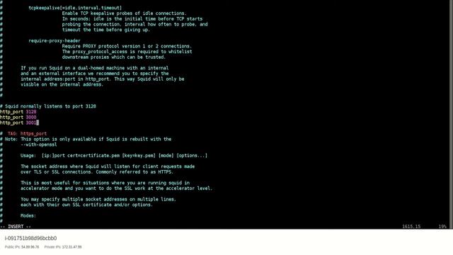 How to Install Squid Proxy on AWS - Setup on Ubuntu Server 20.04 - Step by Step Configuration смотреть онлайн