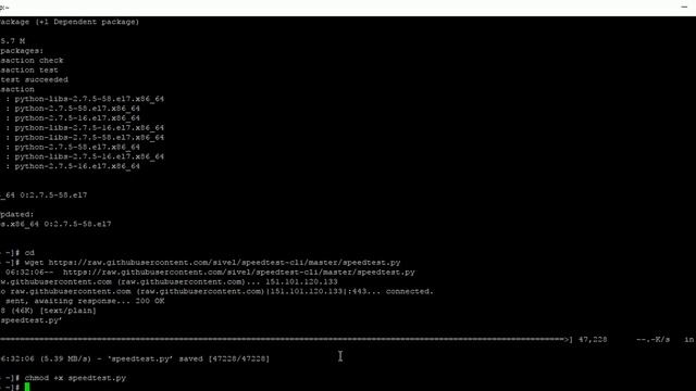 How To Test My Server Network Speed (CentOS : WHM/ CPANEL/ PLESK) смотреть онлайн