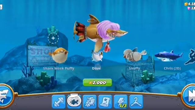 Hungry Shark World APK Gameplay смотреть онлайн