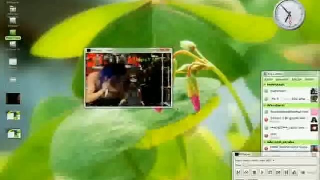 Linux Mint 4.0 Compiz Fusion смотреть онлайн