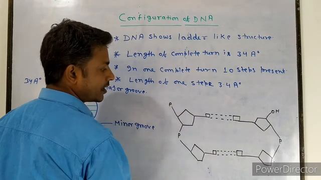 #DNA - Configuration of DNA & Types of DNA смотреть онлайн